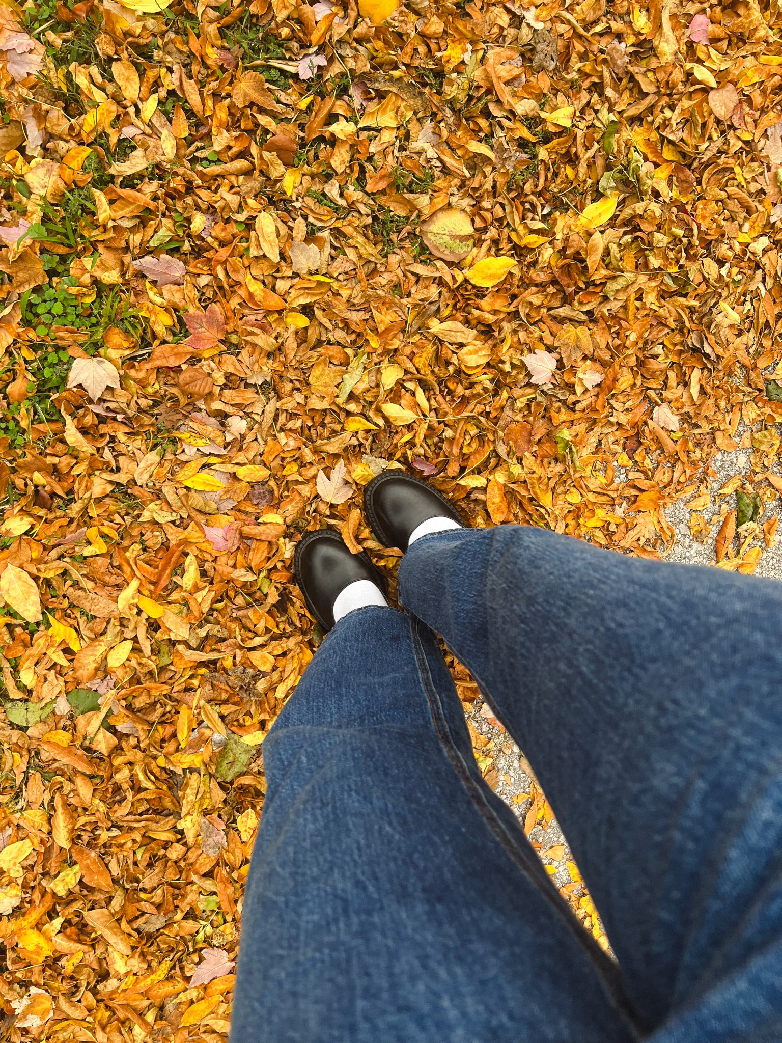 Perfect fall Shoes! I’m obsessed with these Mary janes from Steve Madden ❤️

#LTKU #LTKSeasonal #LTKfindsunder50