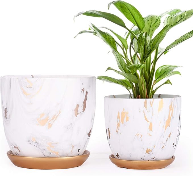 Ceramic Plant pots (8 & 7 Inch, Set of 2), Modern Flower Planter, Gold Marble Gardening Pots with... | Amazon (US)