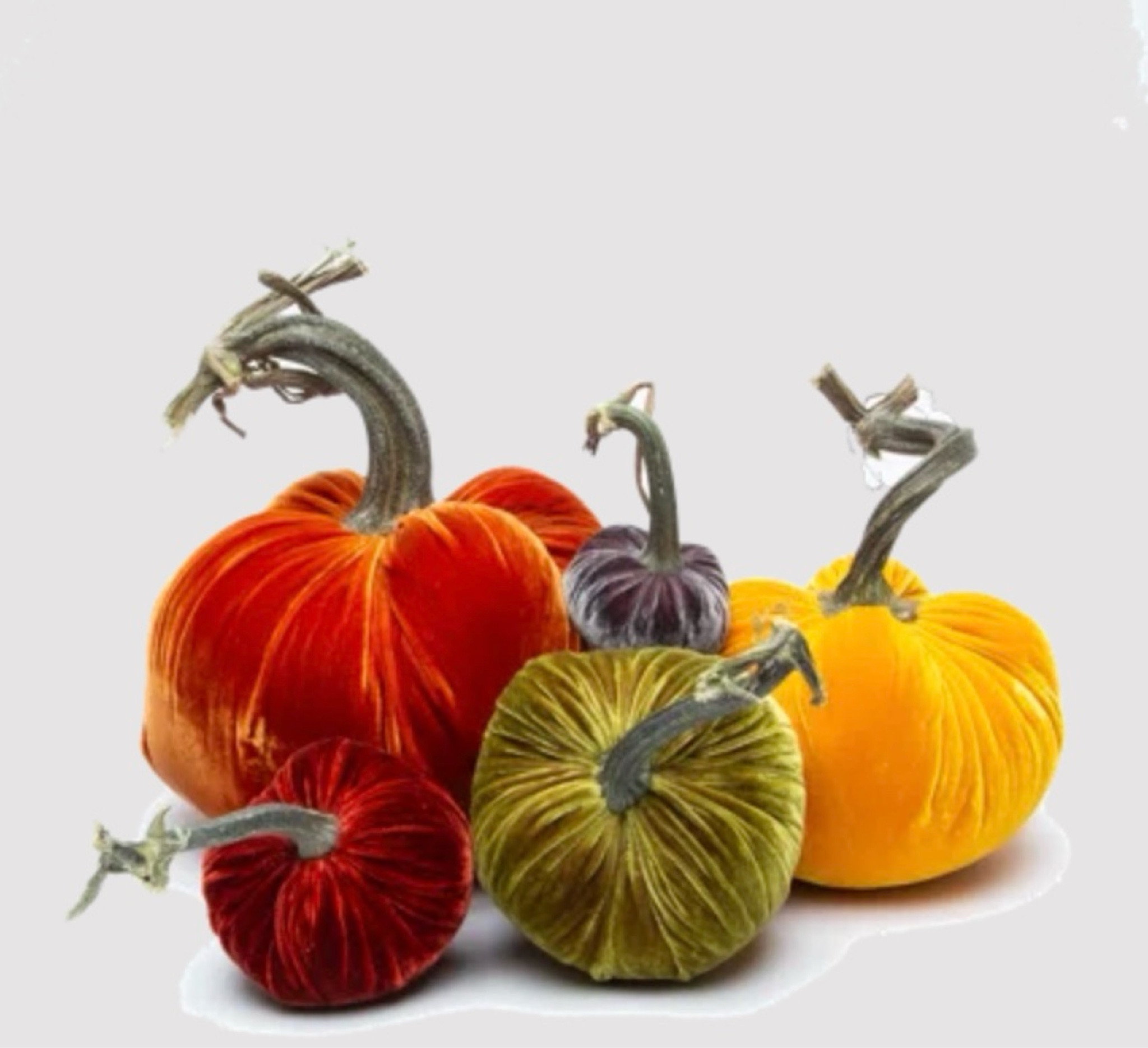 🍁🍂 Velvet pumpkins are the must-have decor for adding a touch of elegance to your fall home! These rich, jewel-toned beauties bring warmth and style to any space—perfect for your tablescape, mantel, or fall vignettes. 🎃✨ Tap to shop and bring these gorgeous fall-colored velvet pumpkins into your home this season through my LTK! #FallDecor #VelvetPumpkins #FallVibes #LTKHome #LTKFall #SeasonalDecor #PumpkinDecor #CozyHome

#LTKHome #LTKSeasonal