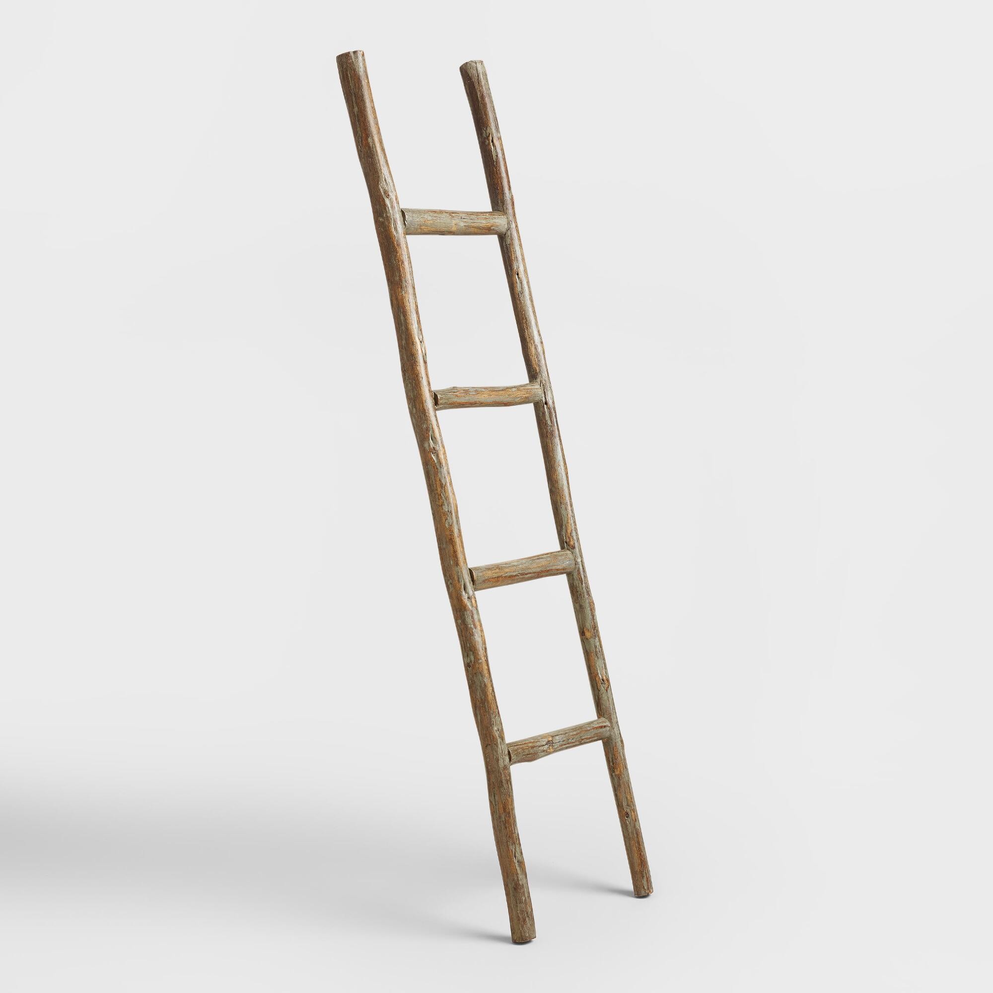 Natural Eucalyptus Ladder Decor - Wood by World Market | World Market