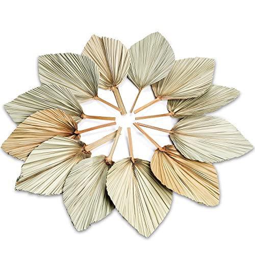 AVLA 12 Pack Boho Dried Palm Leaves, Large Natural Dried Palm Fans, Tropical Dried Palm Spear with Stem, Dried Leaf Plant for Vase, Bohemian Wedding Flower Decoration for Party Office Home Wall Decor | Amazon (US)