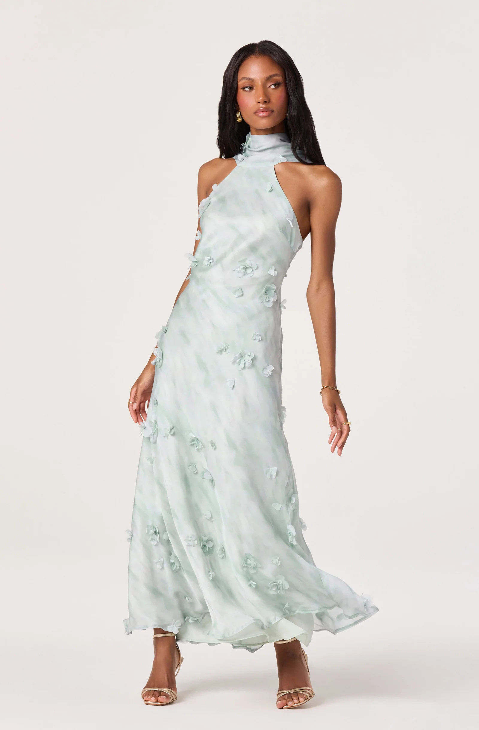 Ashley 3D Floral Maxi Dress | ASTR The Label (US)