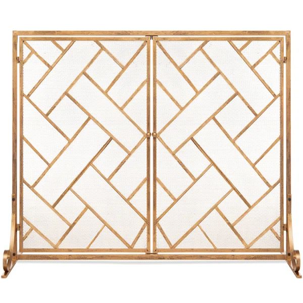 Amol 2 Panel Iron Fireplace Screen | Wayfair North America