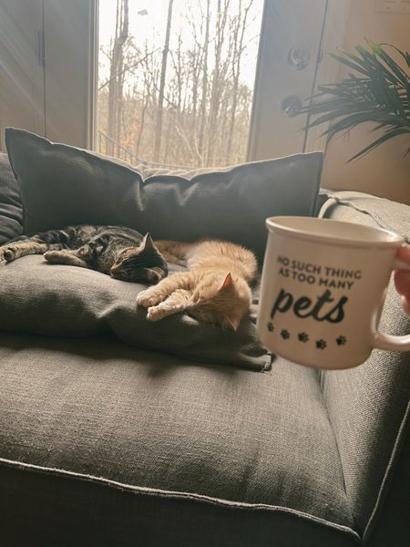 No such thing as too many pets 💕 this house is chaos with 4 cats, 4 dogs, 22 chickens, 2 goats, and 2 ducks, but full of so many loving creatures 💕
Animal lover mug
Animal lovers gift
Cats


#LTKGiftGuide #LTKfamily #LTKhome