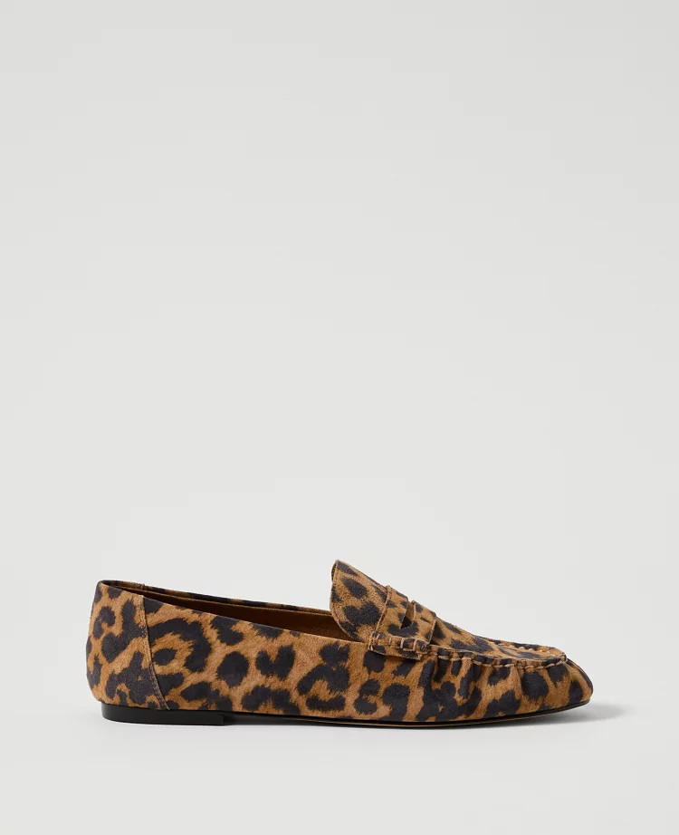 Animal Print Suede Loafer | Ann Taylor