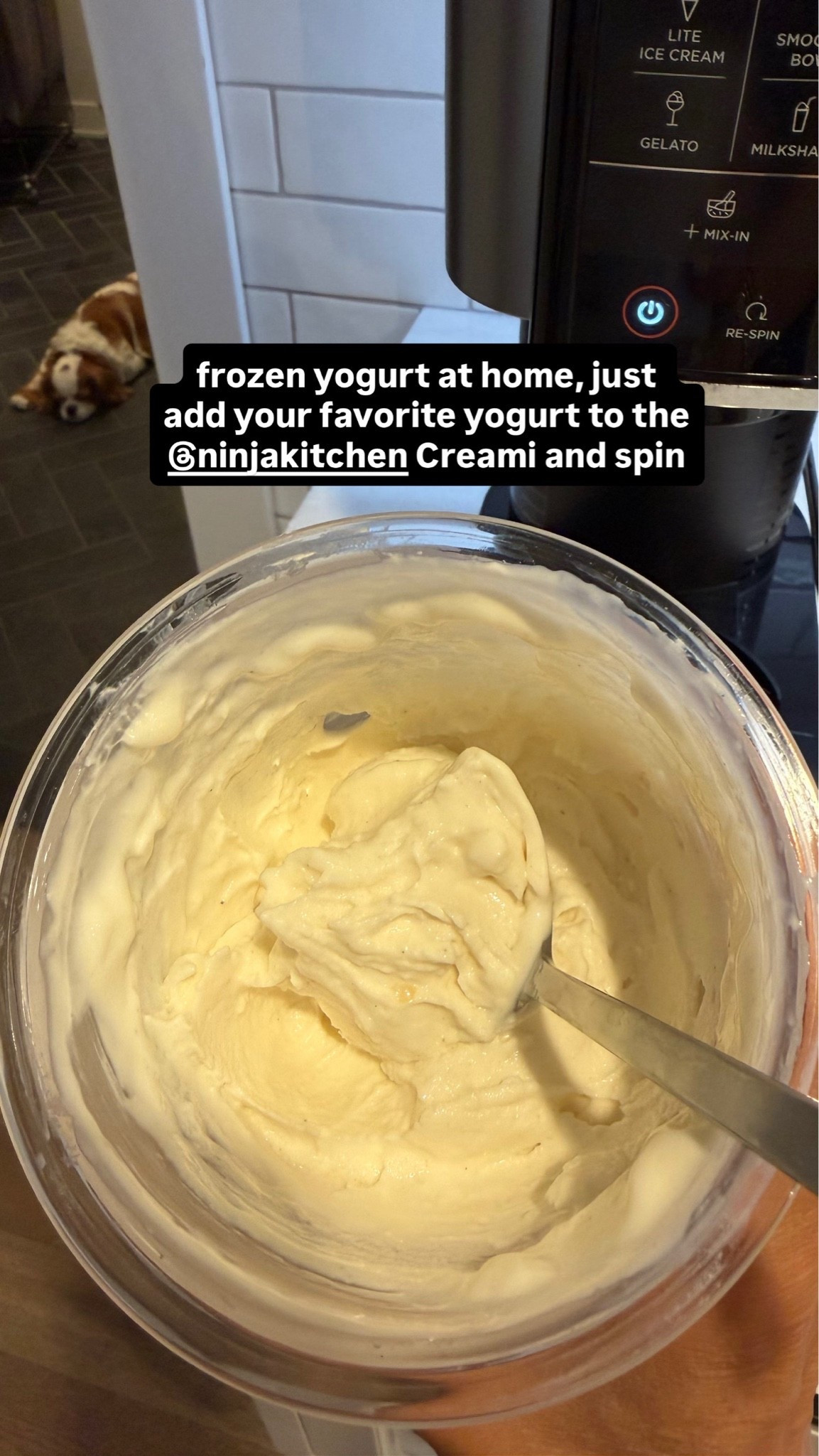 Frozen yogurt in the Ninja Creami

#LTKfitnessgoals #LTKmomlife #LTKSeasonal
