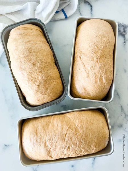 Who loves a fresh, delicious sandwich? 🤤 I know I do! And now I can make the perfect sandwich bread with a loaf bread pan! It's easy to use, non-stick, and bakes up a batch of delicious bread that's perfect for sandwiches or toast! It's the perfect way to get a delicious homemade sandwich, and there's nothing better than that! 🤤

#LTKhome #LTKFind #LTKunder50