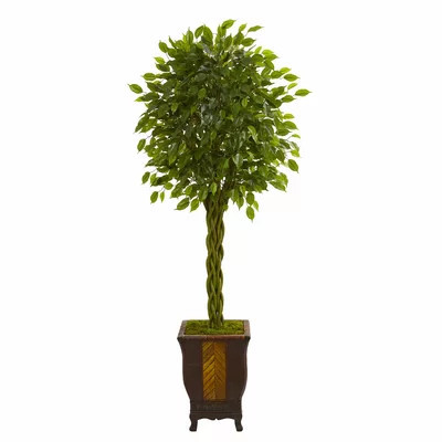 72in Faux Ficus Tree in Ceramic Planter