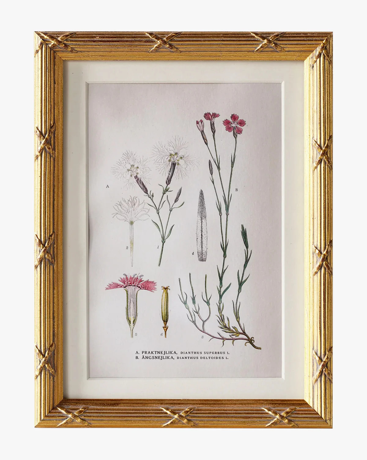 Botanical Study No. 1 | McGee & Co. (US)