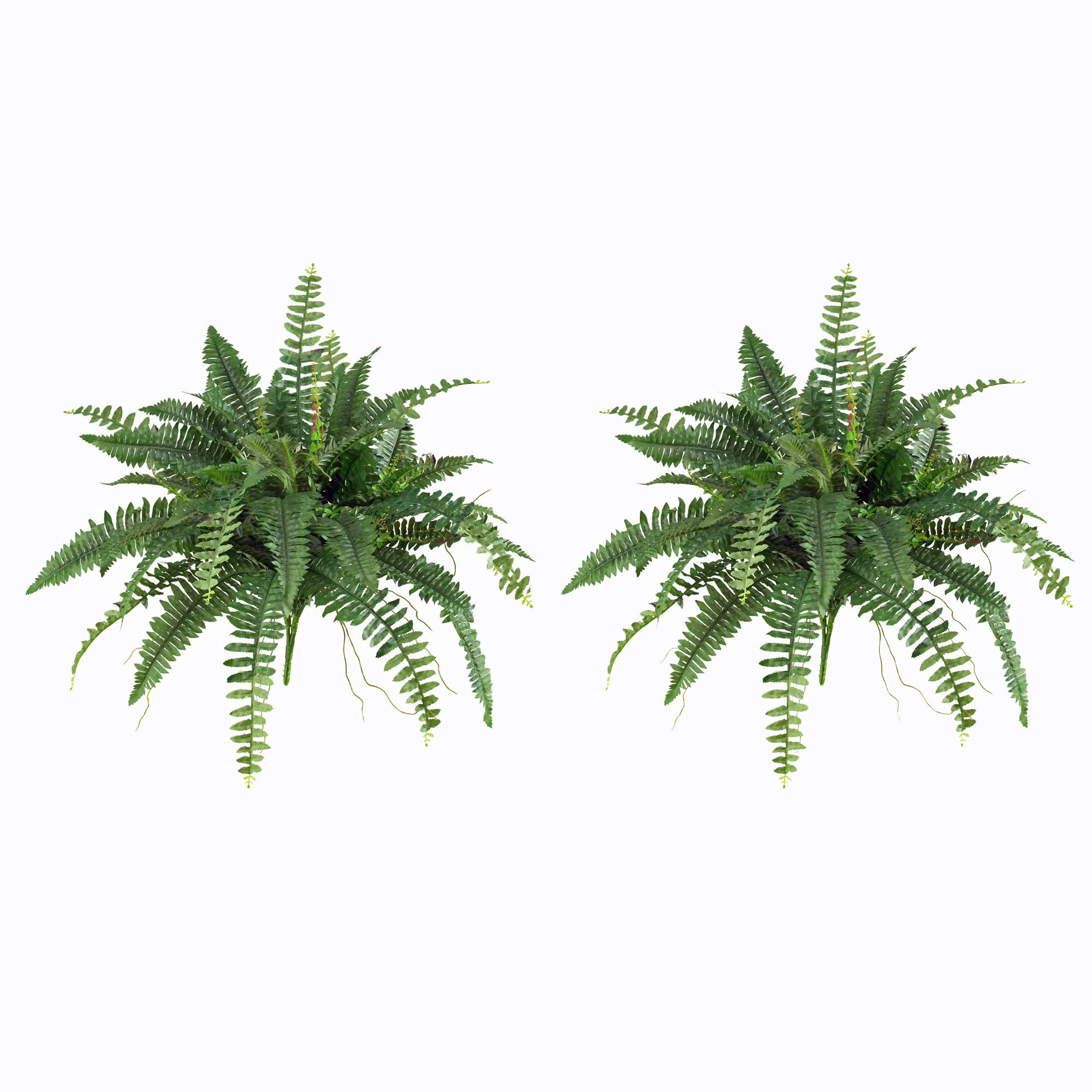 Nearly Natural 40in. Boston Fern (Set of 2), Green | Amazon (US)