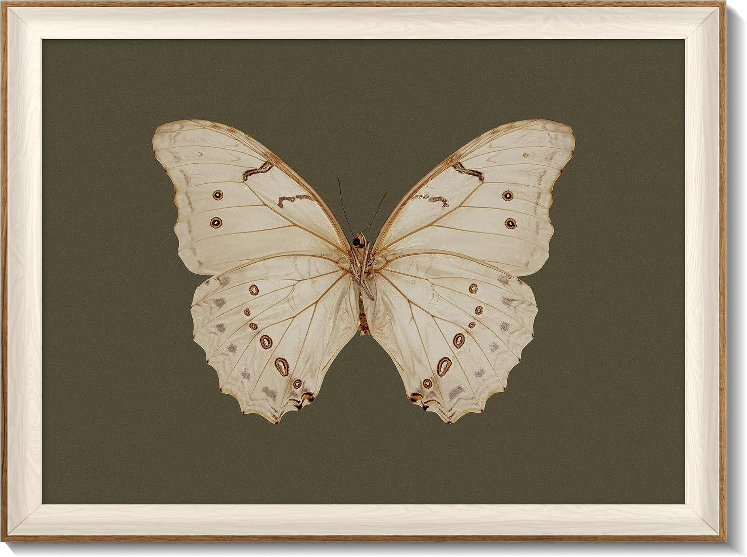 Uniro Vintage Framed Wall Art, Classical Butterfly Oil Paintings, Dark Moody Insect Canvas Prints... | Amazon (US)