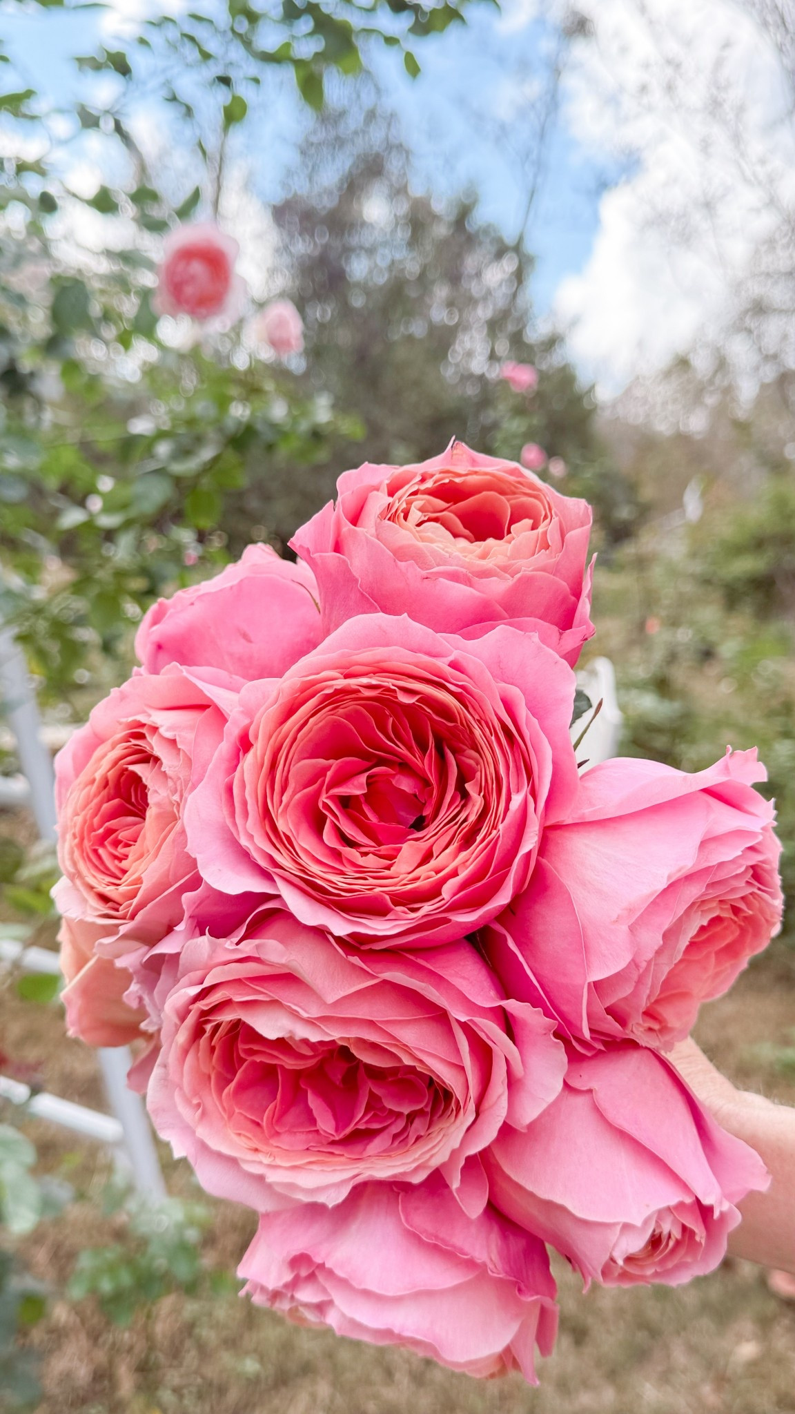 The gorgeous vibes of romantic antike. 

#LTKWedding #LTKHome #LTKdayinmylife