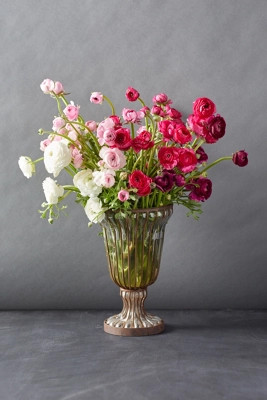 Fresh White + Pink Ranunculus Bunch | Anthropologie (US)