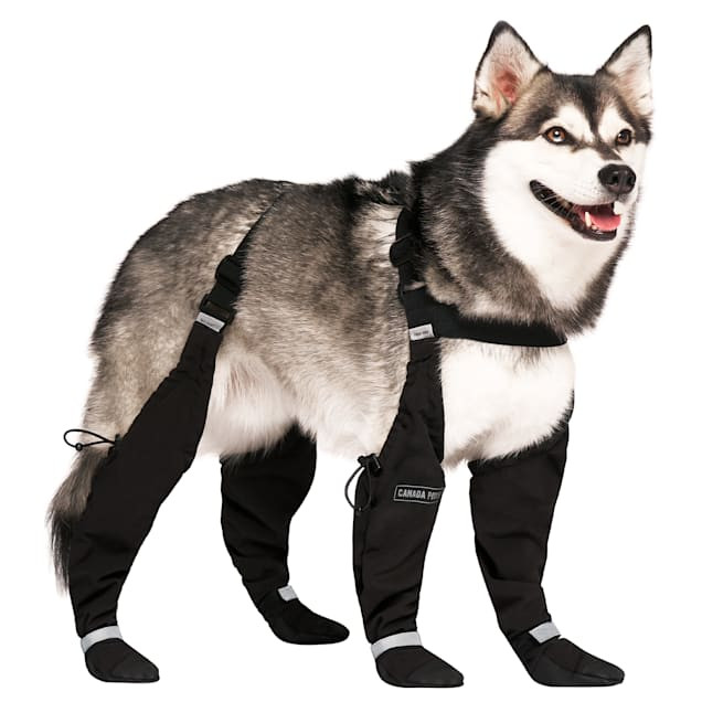 Canada Pooch Suspender Boots for Dogs, 1, Black | Petco