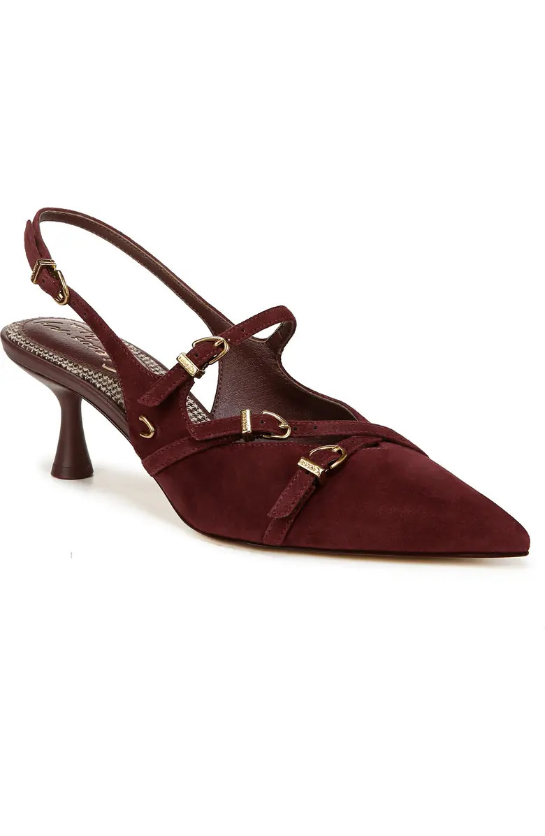 Fraya Slingback Pointed Toe Pump (Women) | Nordstrom