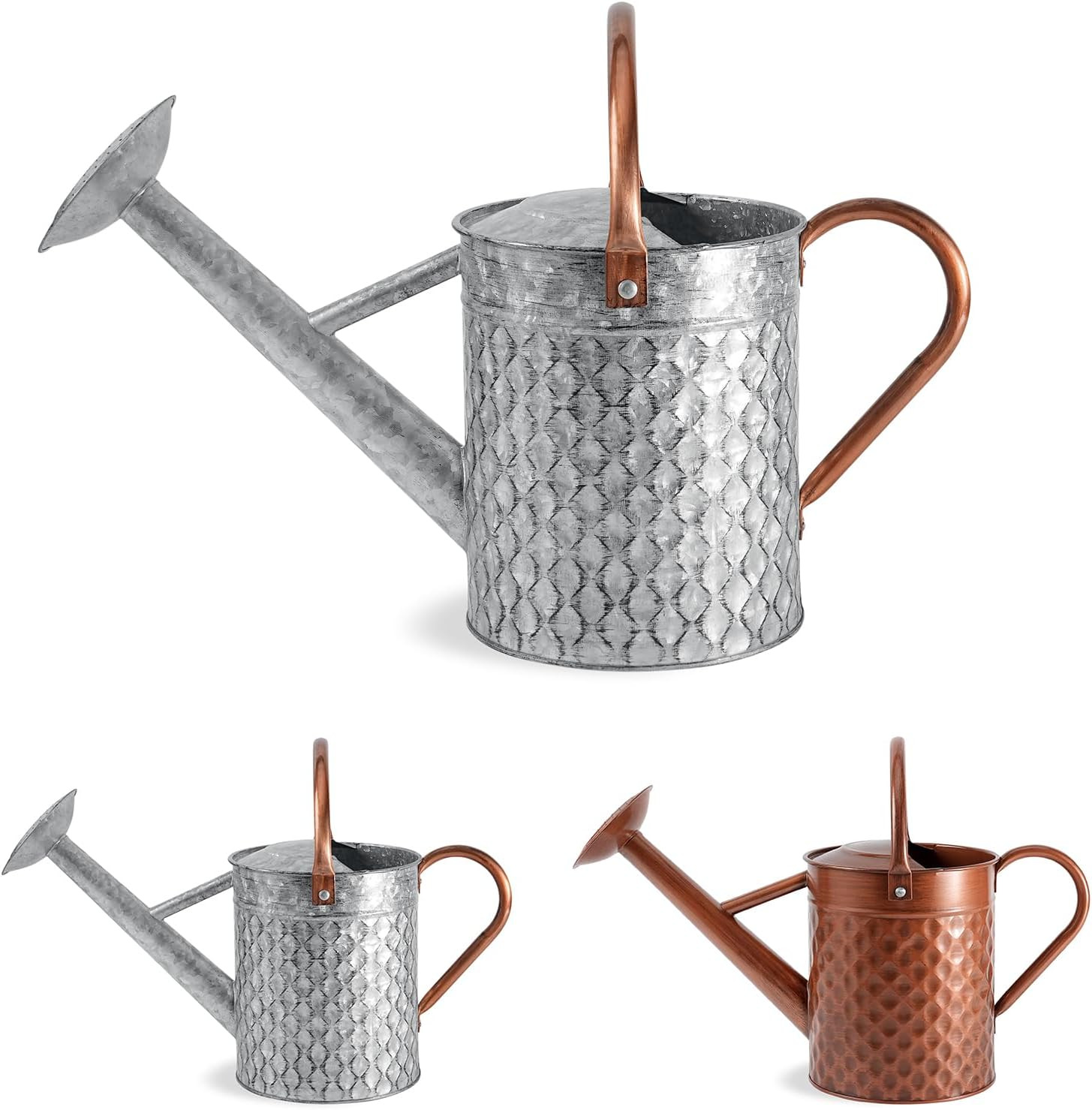 1 Gallon Metal Watering Can for Outdoor Indoor Plants, Galvanized Watering Can with Removable Spr... | Amazon (US)