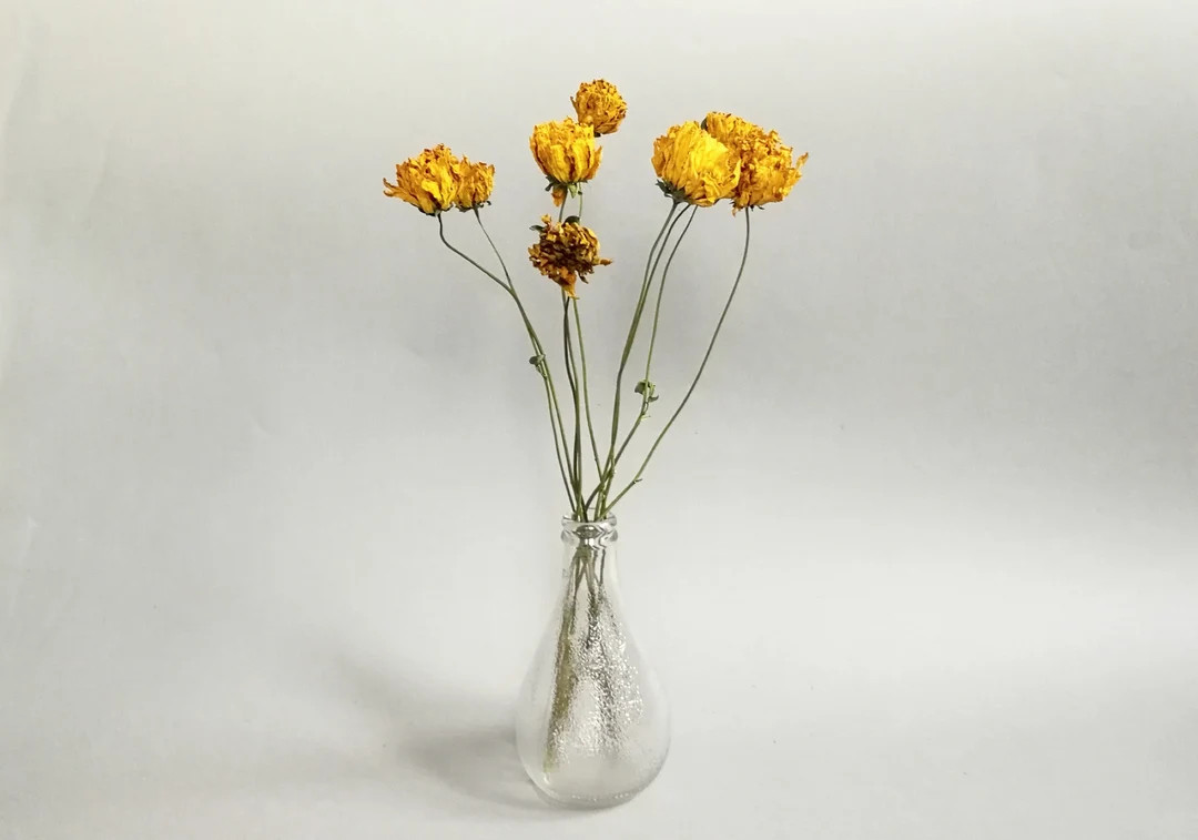 Dried Dahlia Breath  10 Yellow Dahlia Branches  Dried - Etsy | Etsy (US)