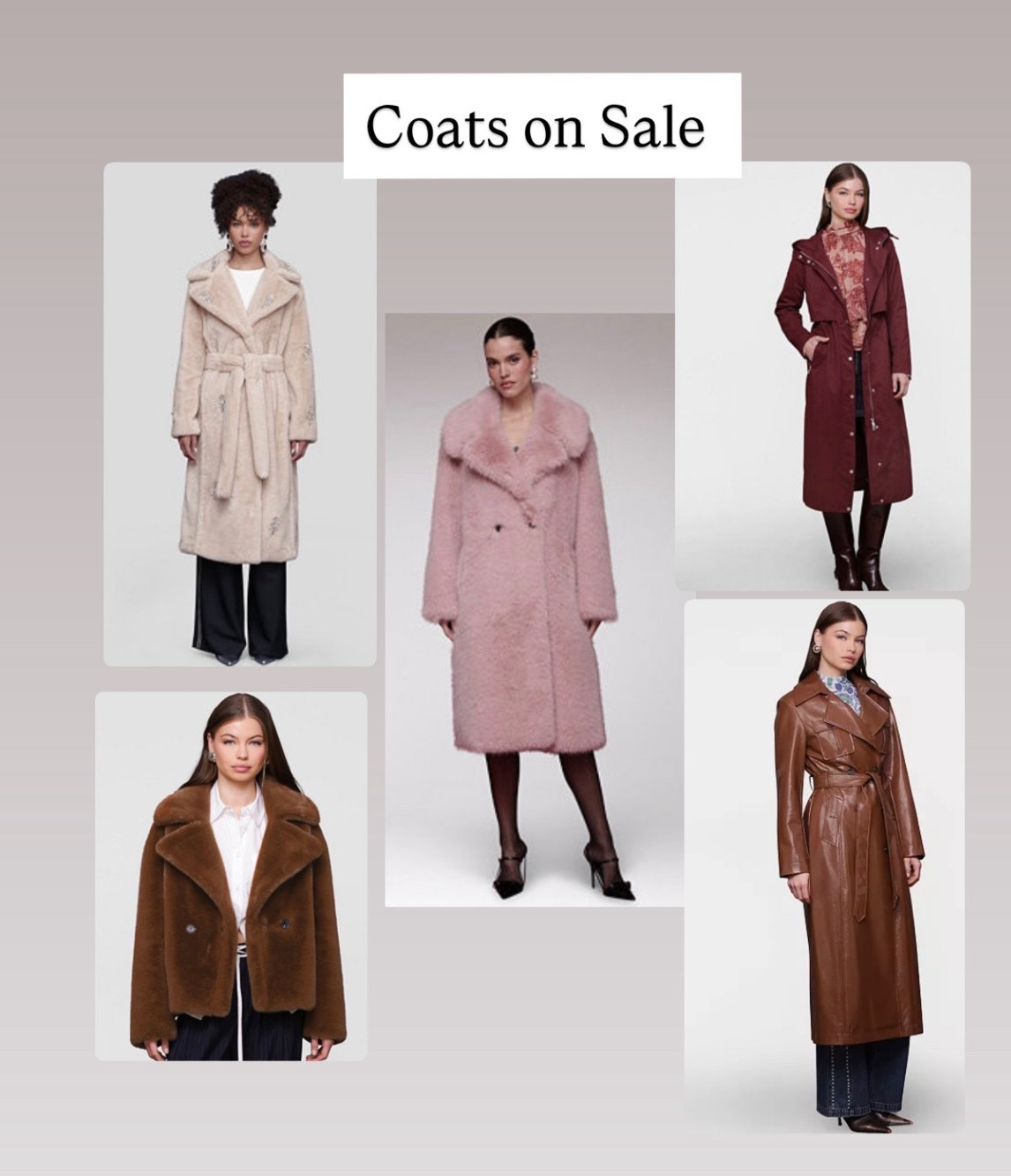 Gorgeous coats on sale 