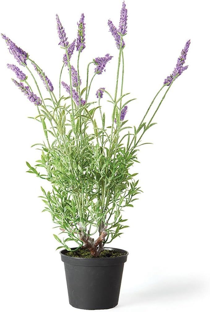 Napa Home & Garden French Lavender 18" Drop-in | Amazon (US)