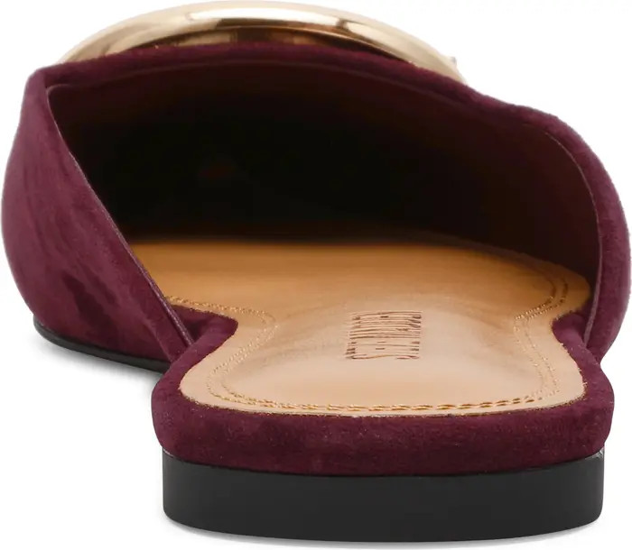 Steve Madden Ira Pointed Toe Mule (Women) | Nordstrom | Nordstrom