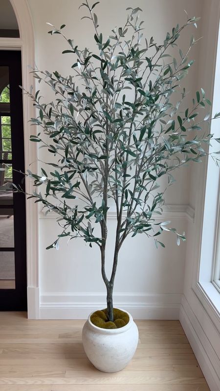 Love this tall artificial olive tree that comes in a planter and is over 90”! Great bang for your buck!

#LTKStyleTip #LTKSaleAlert #LTKHome