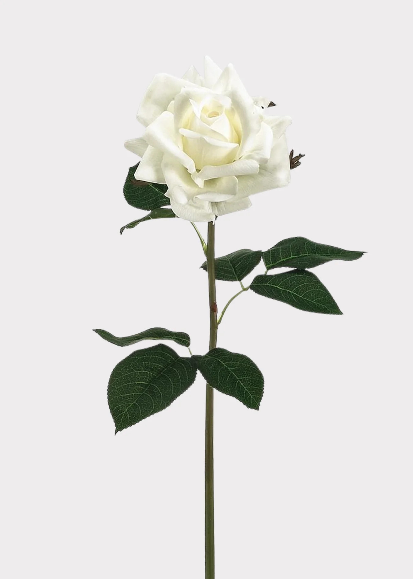 Fake Rose Real Touch Flower in White - 20.5" | Afloral