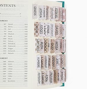 Mr. Pen- Bible Tabs for Catholic or Other Bibles, 75 Tabs, Laminated Bible Tabs for Women and Men... | Amazon (US)