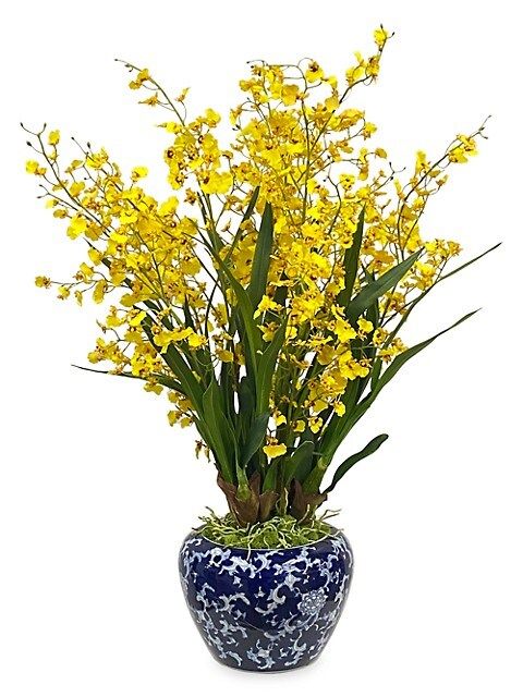 Permanent Botanicals Imitation Oncidiums In Ceramic Vase | Saks Fifth Avenue