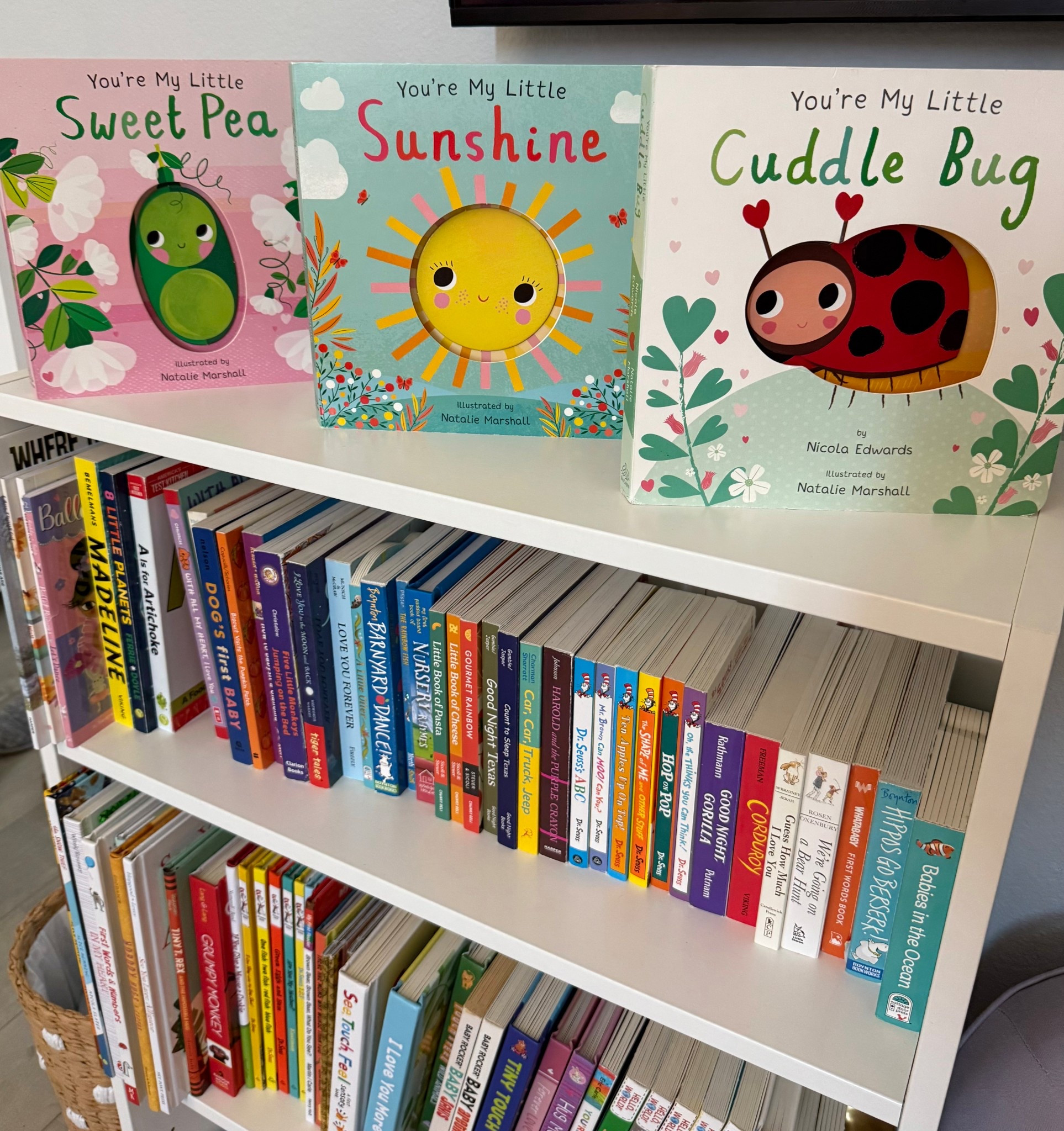 Another children’s  book series that I’m loving. 

#backtoschool #summerreading

#LTKKids #LTKFamily