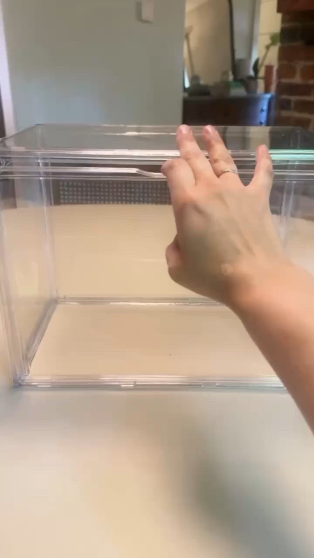 Giving these beautiful bags the spotlight they deserve ✨ I organized my client’s purses in clear acrylic bins that not only show them off but also keep them dust-free and protected.

Pretty and practical—just how we like it! 👜💎
#Knoxville #Organizer #closetorganizer

#LTKItBag #LTKStyleTip #LTKHome