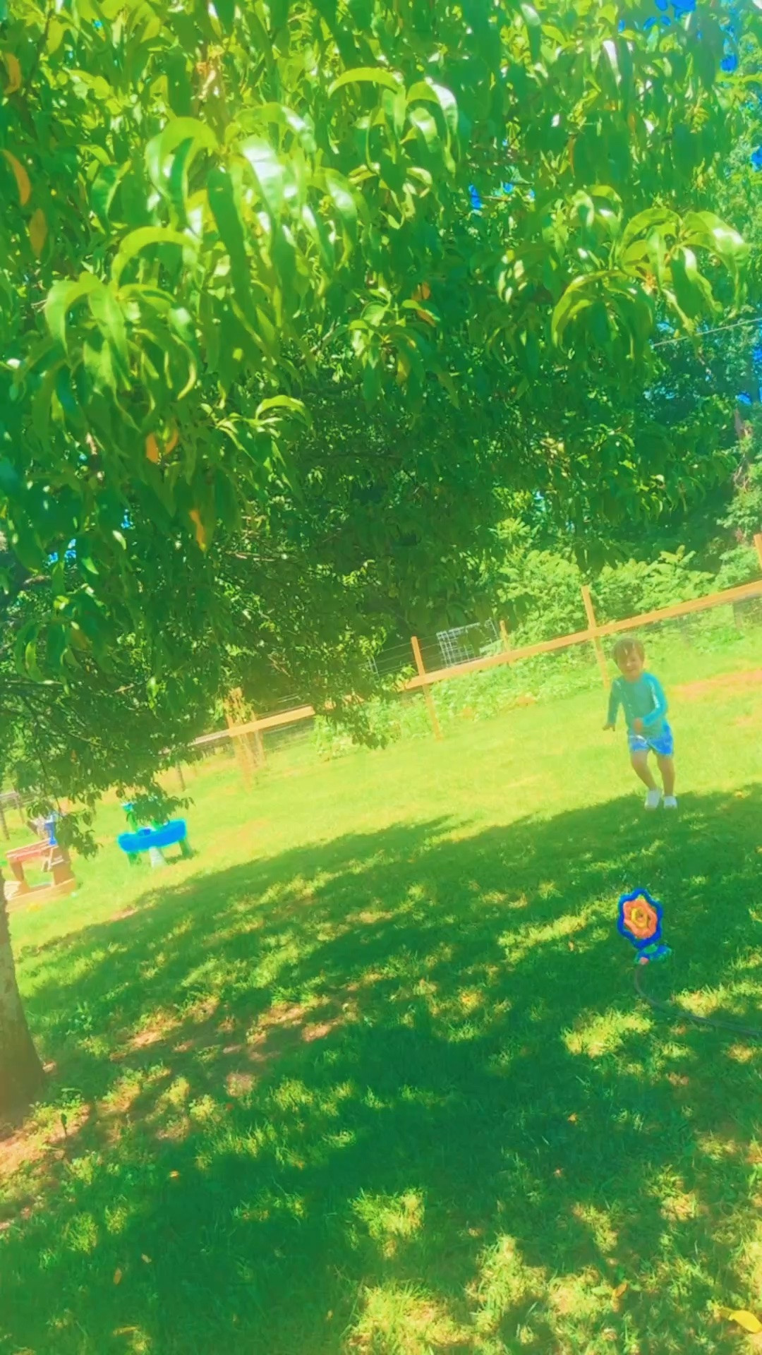 We’ve been out in the garden 🪴 and orchard 🌳 and playing with water 💦 all morning and I just truly am so thankful for this sweet sweet land to raise our babies 👶🏼 on - thank you, Lord!!! ☀️