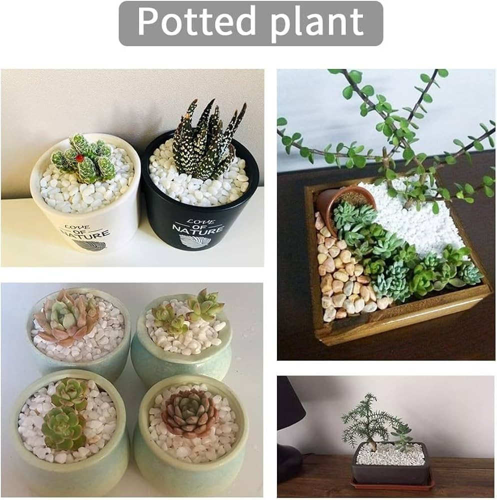 Natural Polished Decorative White Pebbles - Small Stones 3/8" Gravel Size,River Rocks Pebbles for... | Amazon (US)