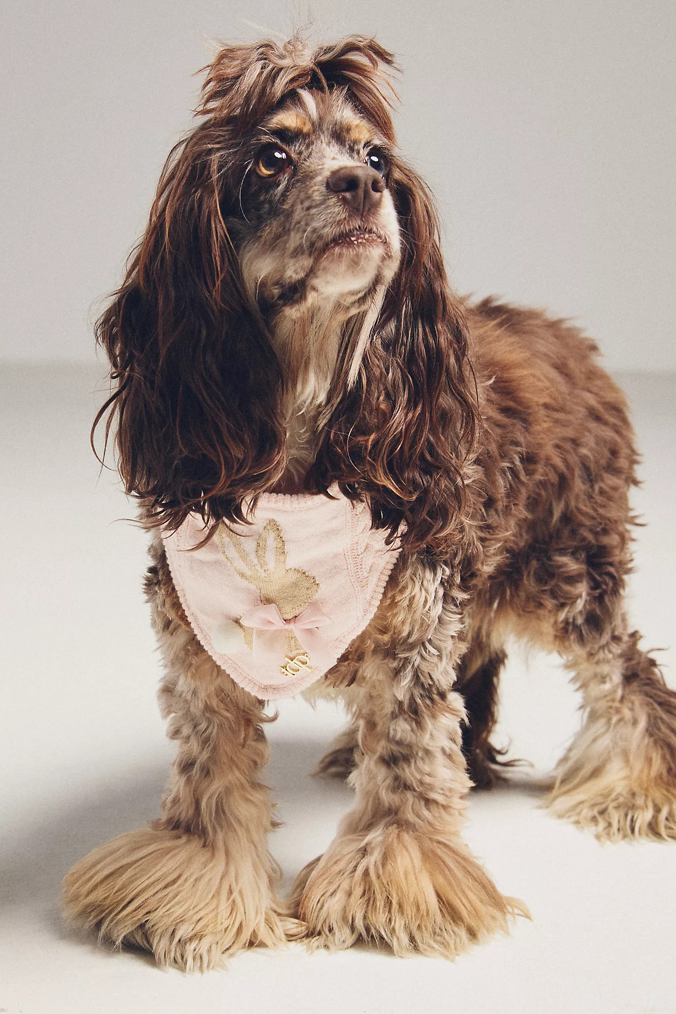 The Deluxe Pup Easter Bunny Pet Bandana | Anthropologie (US)