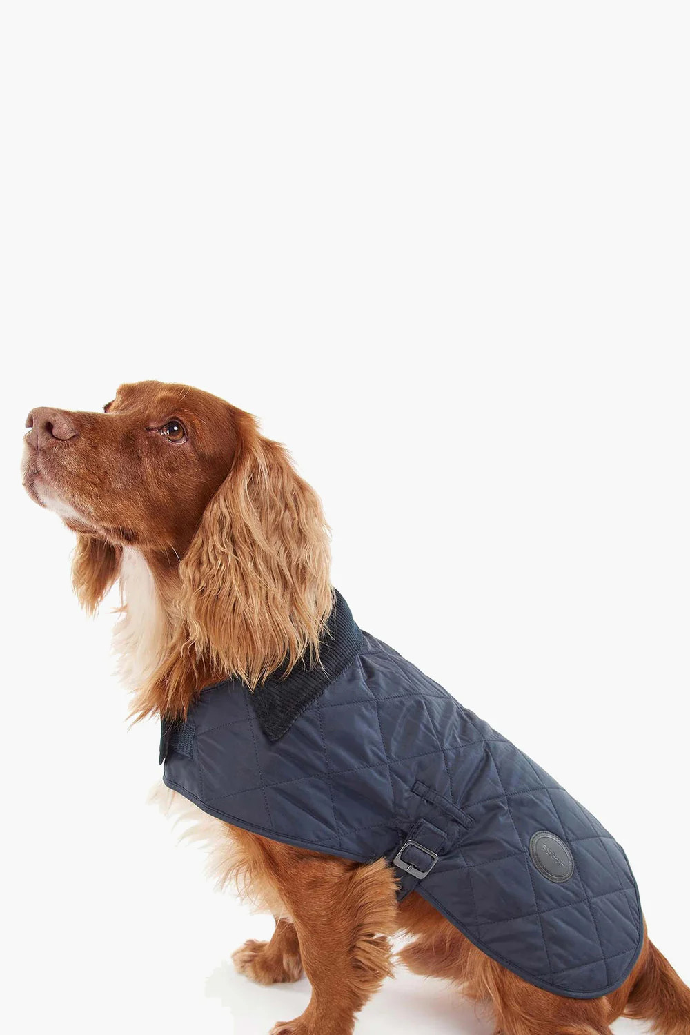 Navy Quilted Dog Coat | Tuckernuck (US)