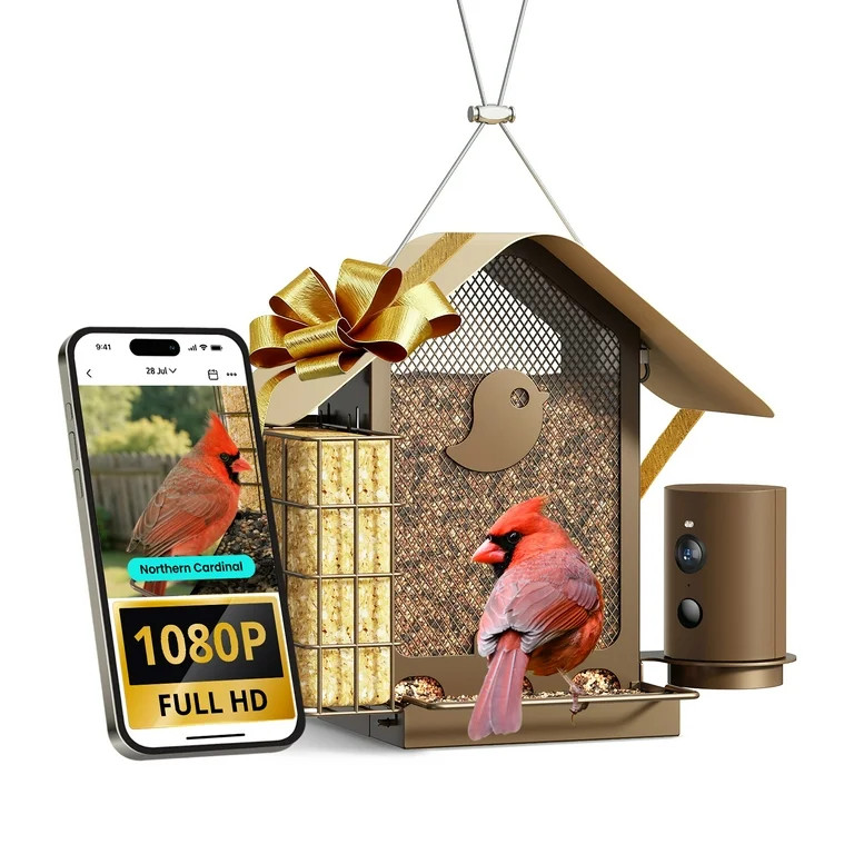 Birdfy Smart Bird Feeder with Camera, 1080P HD, 60FPS Video, AI Bird Identification, Night Vision... | Walmart (US)