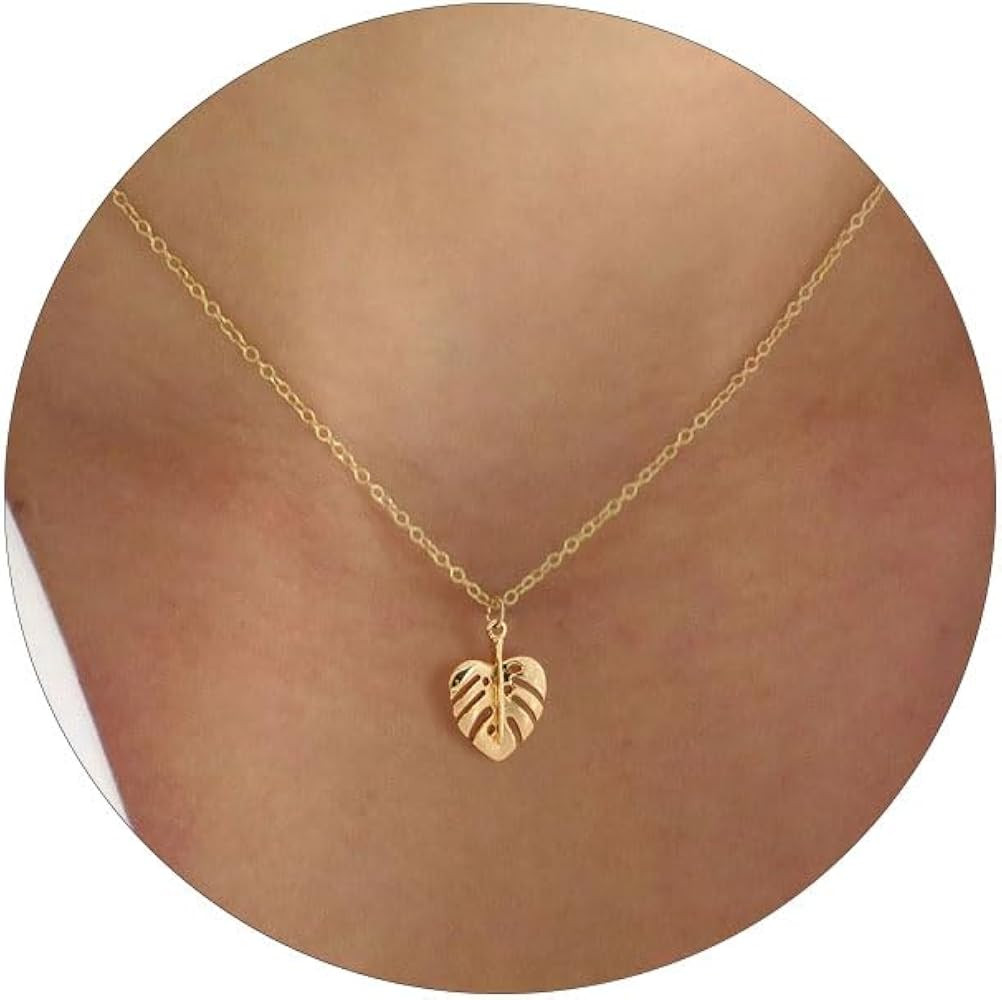 HANLI 14K Gold Plated Necklaces for Women - Dainty Butterfly, Star of David, Moon and Star, Sun, ... | Amazon (US)