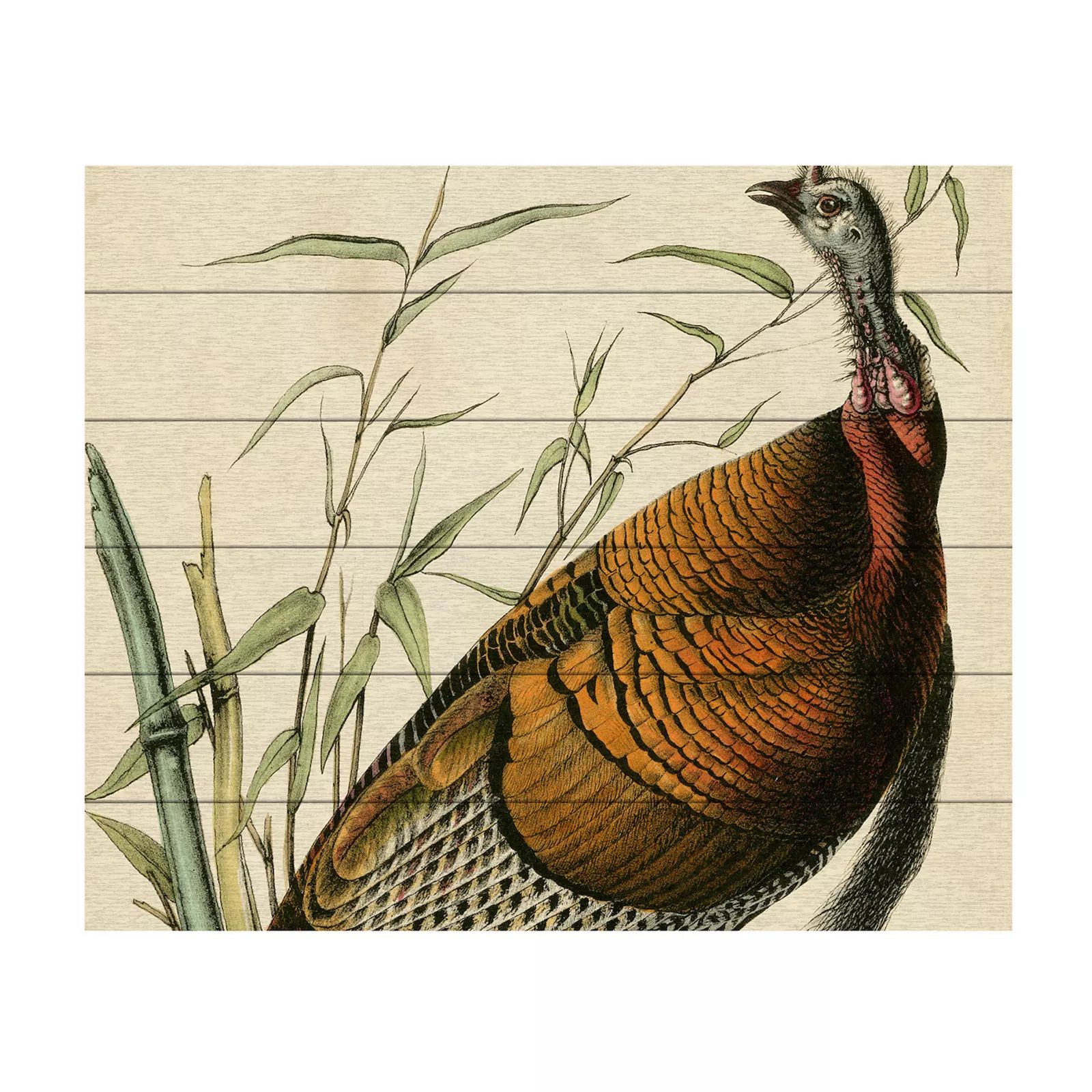 Trademark Fine Art Audubon Wild Turkey Wood Slat Wall Art, Multicolor, 16X12 | Kohl's