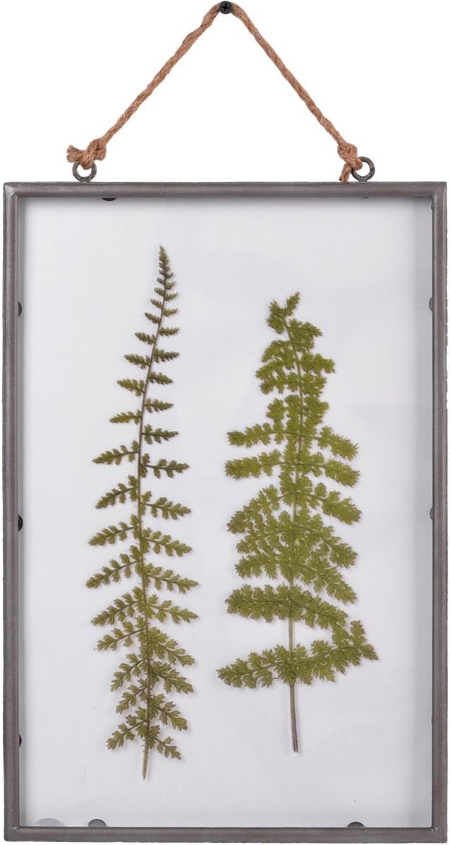 NIKKY HOME 10" x 15" Vintage Metal Framed Fern Botanical Glass Wall Art Print with Rope | Amazon (US)