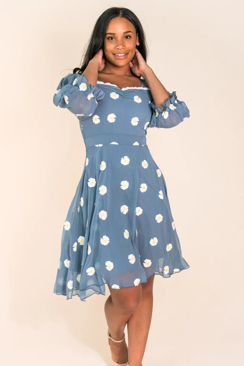 Daisy Embroidered Dress | Ivy City Co