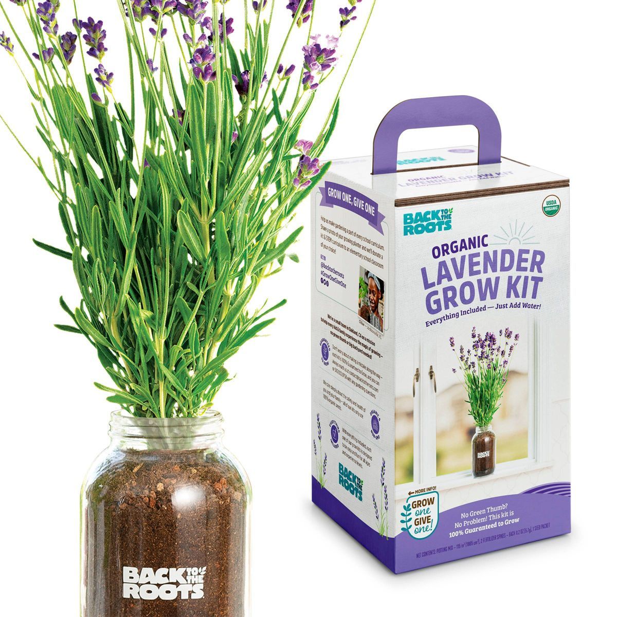 Back to the Roots Organic Lavender Grow Kit | Target