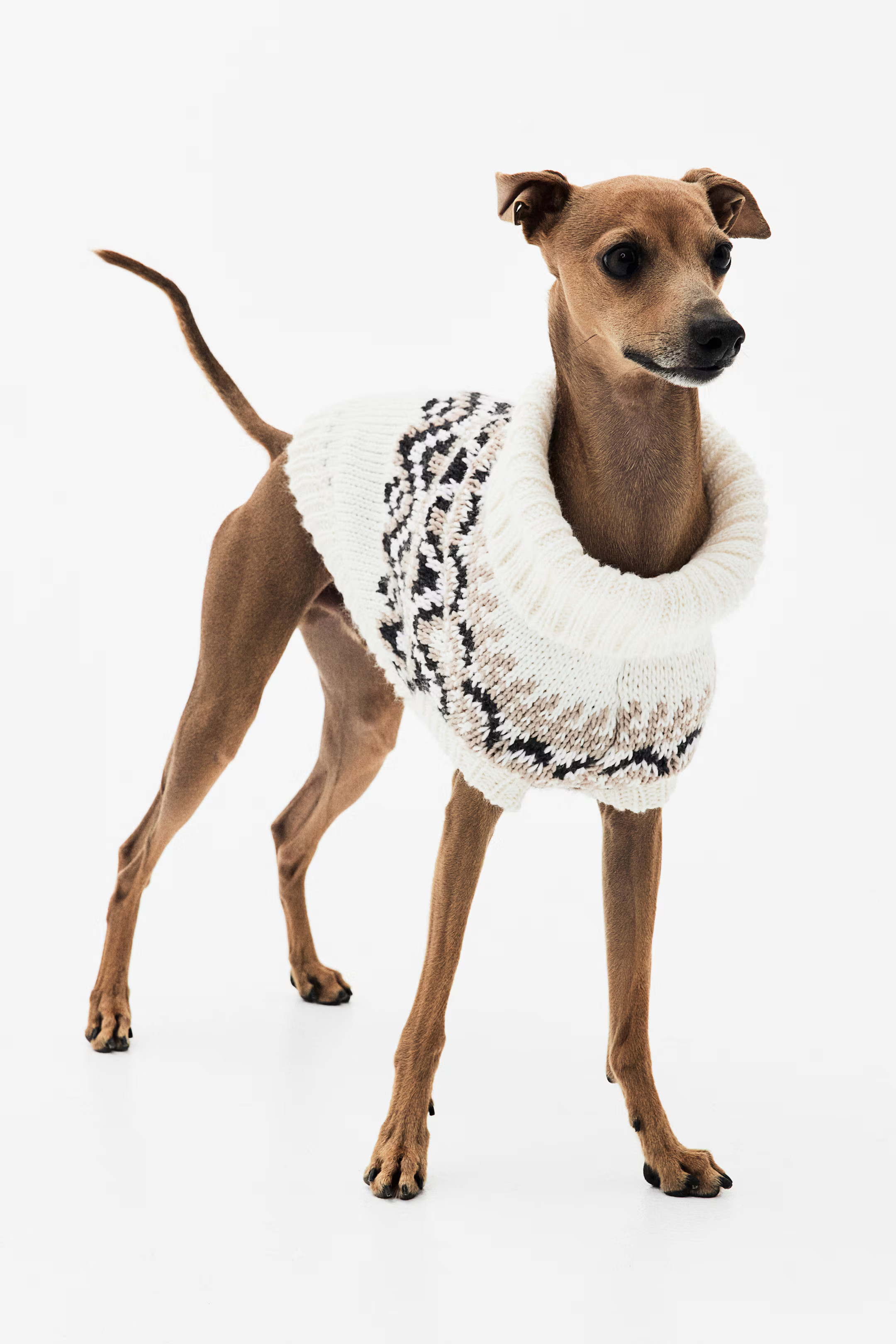 Jacquard-Knit Dog Sweater | H&M (US + CA)