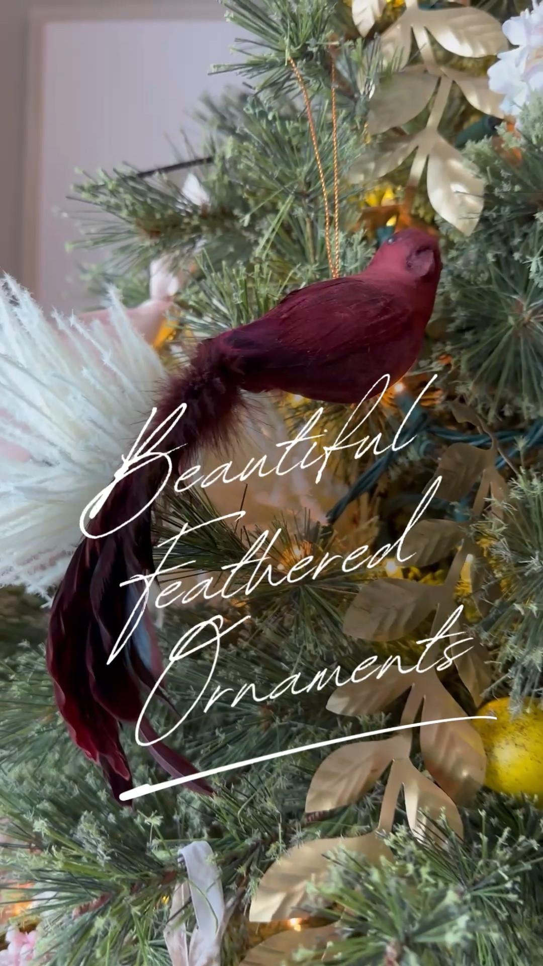 These have to be my favorite nature inspired ornaments! 

Our favorite birds all linked in LTK! Comment BIRDS and we’ll send you  the links! 



#LTKHome #LTKSeasonal #LTKHoliday