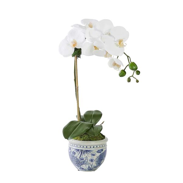 Single White Orchid in Mer Vase | Caitlin Wilson Design