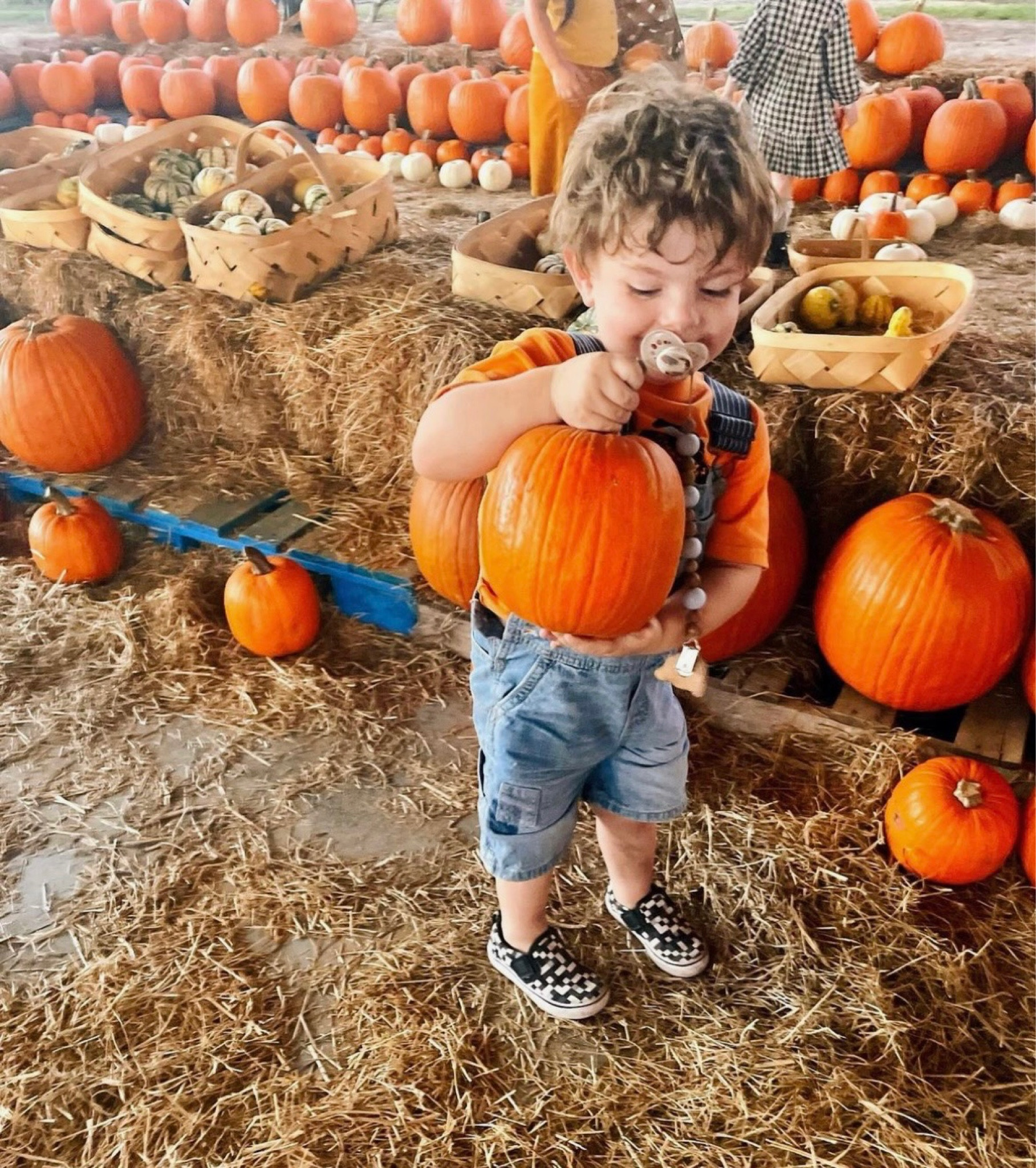 Toddler easy fall outfit 🍂 Oshkosh, overalls, pumpkin, patch outfit, baby Thanksgiving, outfit, baby toddler outfit, for family photo outfit, 
#Amazon #PumpkinPatch#FallHarvest
#AutumnAdventures#PickingPumpkins
#FamilyFun#AmazonDeals#AmazonFind
#PrimeDay

#LTKkids #LTKSeasonal #LTKbaby