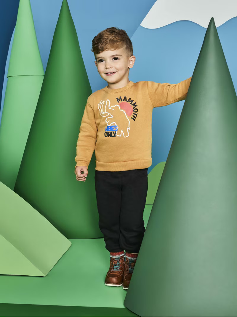Garanimals Toddler Boy Graphic Fleece Sweatshirt, Sizes 2T-5T - Walmart.com | Walmart (US)
