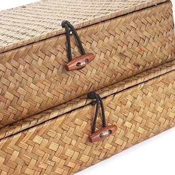 Seagrass Storage Baskets with Lid, Flat Wicker Basket, Rattan Storage Bins, Shallow Woven Basket ... | Amazon (US)