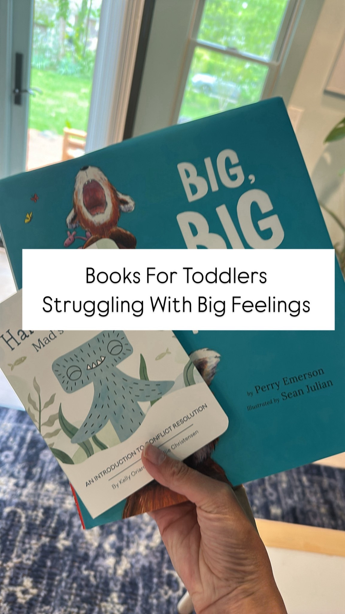 toddler tantrum books
books for toddler emotions
books for toddlers with big feelings
emotional regulation books for toddlers
calming books for toddlers
books to help toddlers with tantrums
books about feelings for toddlers
behavior books for toddlers

#LTKKids #LTKFamily