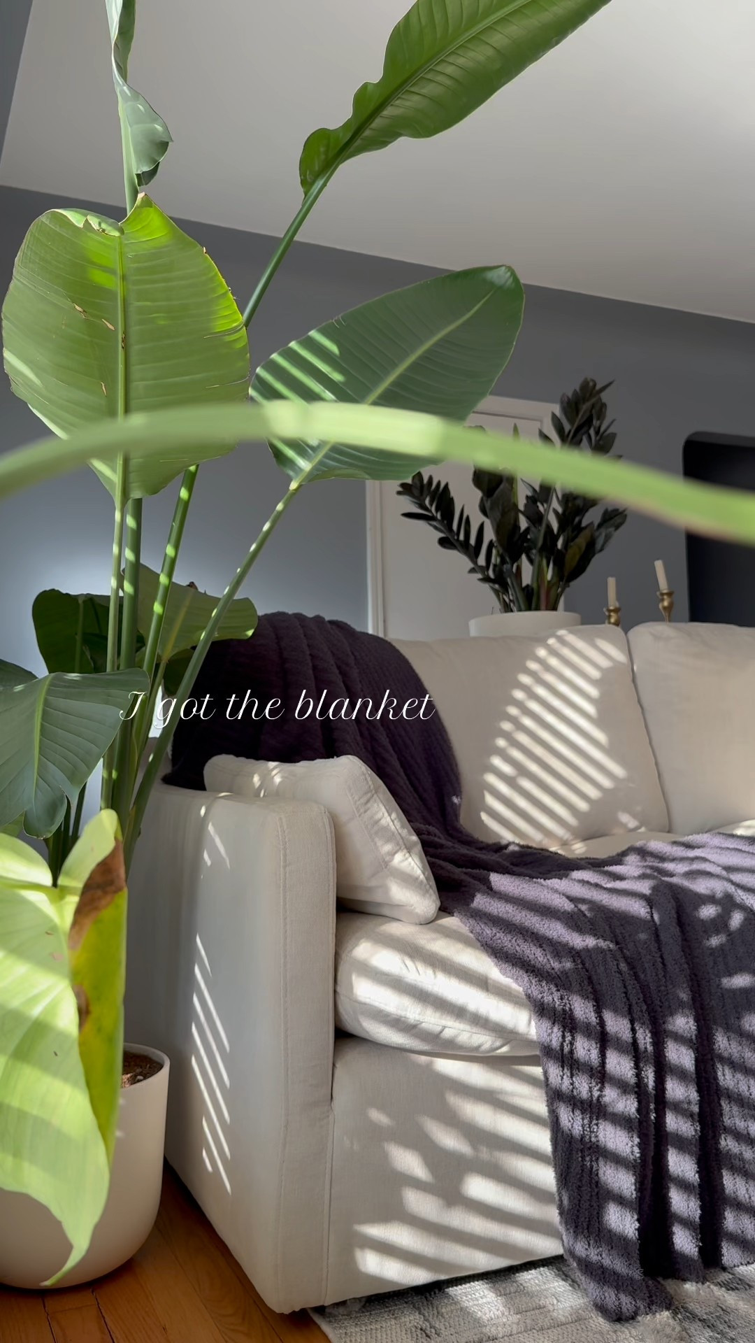 postpartum never felt so luxe and cozy ✨🩶

comment ROBE to receive your direct link 🔗🔗

#luxehome #luxhome #postpartumjourney #postpartum 

#LTKSaleAlert #LTKBump #LTKSeasonal