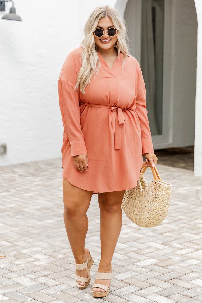 As Easy As Can Be Terracotta Wrap Tie Mini Dress | Pink Lily