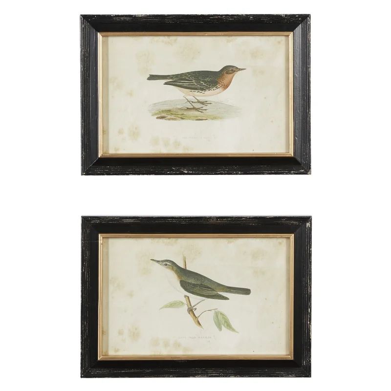 Large Vintage Style Pipit And Warbler Bird Illustrations Framed On Paper 2 Pieces Painting | Wayfair North America